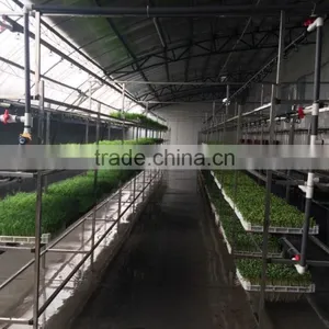 1000-100000KG/DAY Automatic Heating and Watering Hydroponic Fodder Production Line thumbnail-3