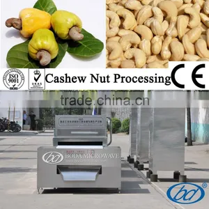 Microwave Sterilization Machine for Chestnuts thumbnail-4