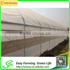 Hot Sale Low Cost Single-span Plastic Greenhouse for Agriculture thumbnail-3