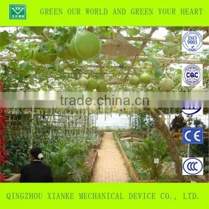 Commercial Large Scale Green House thumbnail-1