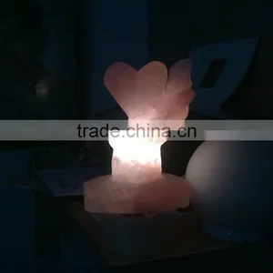 Salt Lamps From Himalaya thumbnail-1