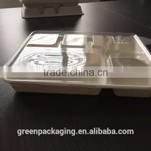 Sugarcane Bagasse 5-compartment Food Container With PET Lids thumbnail-3