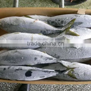 Seafood thumbnail-1