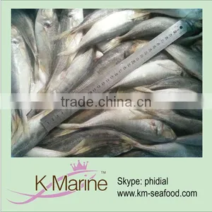 Marine Fresh Fish Pacific Horse Mackerel thumbnail-1