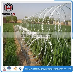 Guard Against Theft Razor Blade Wire Fencing thumbnail-4
