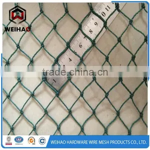 Agricultural Polyethylene Anti Birds Netting thumbnail-2