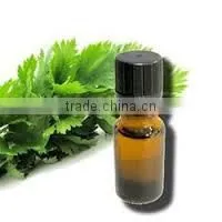 Celery Oil thumbnail-1