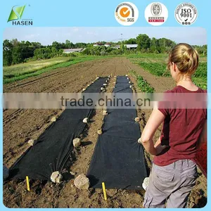 Agriculture Biodegradable PP Protective Nonwoven Ground Cover Fabric Film thumbnail-1