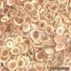 Sell Hairy Antler thumbnail-1