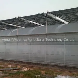 Large Size Plastic Film Multi Span Agricultural Greenhouses thumbnail-5