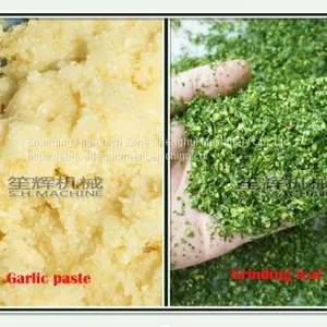 Electric Garlic Ginger Crusher Fruit and Vegetable Chopping Machine thumbnail-5