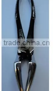 High-quality Best-price Extracting Forcep 51 (English Pattern) thumbnail-1