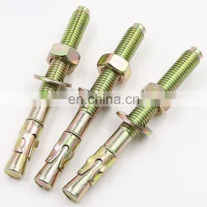 Stainless Steel Anchor Wedge Anchor Bolt and Expansion Anchor Bolt M12 thumbnail-4