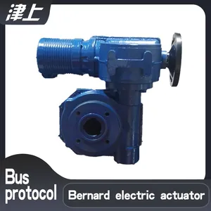 Tianjin Bernard Network Connection Control B+RS160/K40Z Electronic Valve Electric Device thumbnail-1