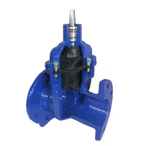 DIN Rising Resilient Seal Gate Valve DN50-DN1600mm Gate Valve thumbnail-4