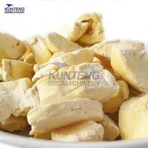 Low Temperature Strawberry Apple Durian Beef Whey Powder Milk Freeze Dryer EPC thumbnail-4