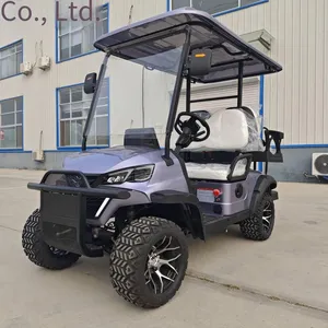 Latest Private - Customized Electric Golf Carts, Sourced From the Original Manufacturer for Export and Foreign Trade thumbnail-5