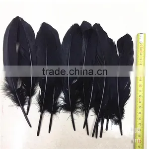 Hot Sell Color Plumes Dyed Goose Feather Price Quality Choice thumbnail-2