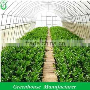 Agricultural Plastic Film Tunnel Greenhouse thumbnail-1