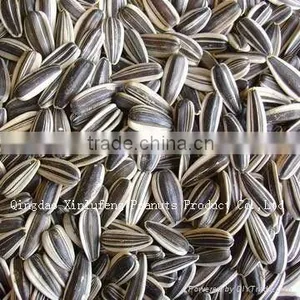 New Crop Best Price Black Sunflower Seeds 5009 thumbnail-1