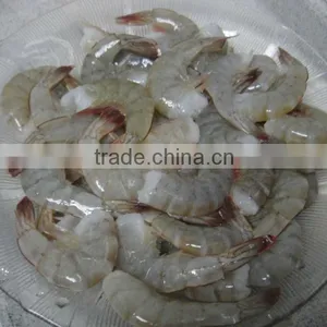 Vannamei Shrimp thumbnail-3