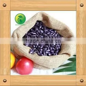 Sunflower Seeds for Birds Small Seed High Oil Content thumbnail-2