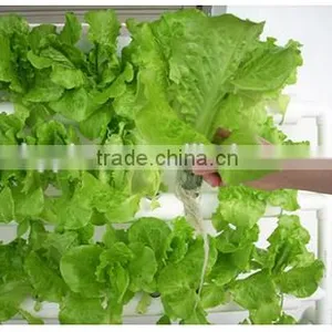 Home Garden Indoor Hydroponics System thumbnail-4