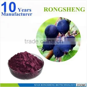 Hot Sale Freeze Dried Powder Organic Acai Berry thumbnail-3