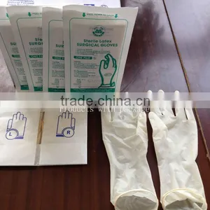 Medical Gloves Latex thumbnail-1