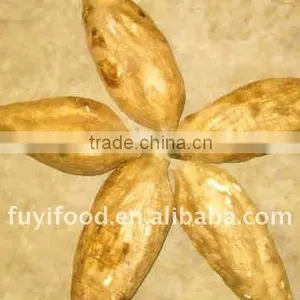 Fresh/Healthy Chinese ArrowRoot thumbnail-1