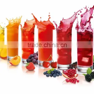 Direct Factory Price!! Chinese Juice Line/ Machinery/ Plant thumbnail-1