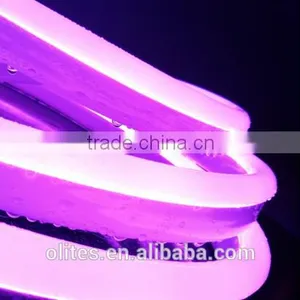 2016 New Product China No MOQ Customized Length Flexible LED Neon Strip Light for Indoor Lighting thumbnail-1