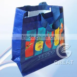 PP Woven Bag for Promotional Gifts, Supermarkets and Shops With Green Printing(glt-w0055) thumbnail-1
