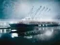 Shipping Company to Miami thumbnail-1