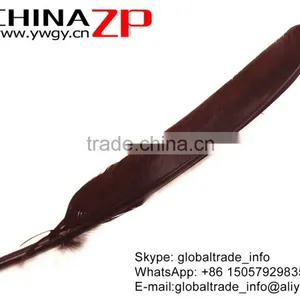 Leading Supplier ZPDECOR Crafts Factory Wholesale Dyed Brown Turkey Pointers Quill Large Feathers for Sale thumbnail-3