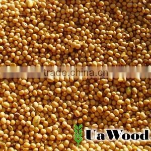 Soybeans From Ukraine thumbnail-1