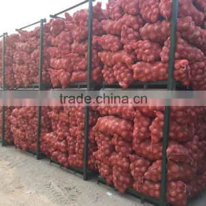 Fresh Onion Packing in Mesh Bag for Onion Importer From Dubai thumbnail-3