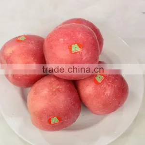 Fresh Fuji Apple thumbnail-4