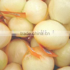 Onion thumbnail-1