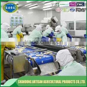 Fresh Peeled Garlic Bulk, Export to Europe thumbnail-6