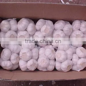 YUYUAN Brand Hot Sail Fresh Garlic Dehydrated Garlic Price thumbnail-5