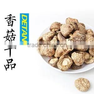 Dried Shitake Mushroom for Importer thumbnail-3