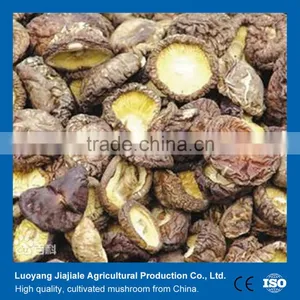 Shiitake Mushroom/ Dried Shiitake Mushroom Exporter thumbnail-1