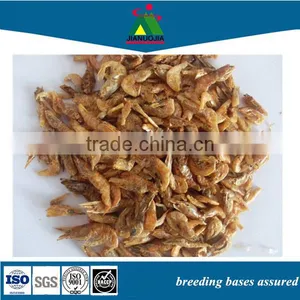Tortoise Food Dry fd Shrimp thumbnail-1