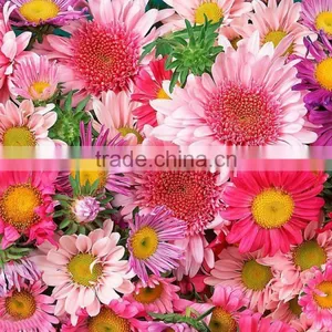 Calcium Ammonium Nitrate Fertilizer /CAN CAS No.13477-34-4 thumbnail-5