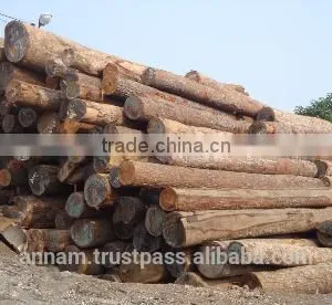 Solid Wood Timber Keruing Wood Timber Keruing Flooring Timber thumbnail-1