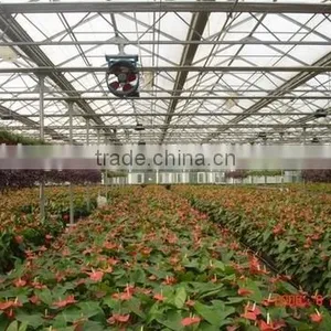 Ventilation Fan for Greenhouse thumbnail-1