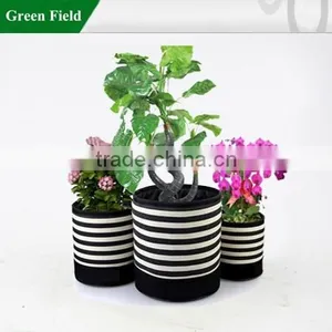 Green Field Beautiful Garden Plant Pot Gardening Grow Flower Pot thumbnail-1