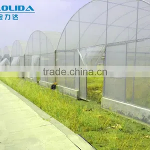 Hot Sale Galvanized Pipe With Plastic Film Greenhouse for Crops or Commercial Use thumbnail-1
