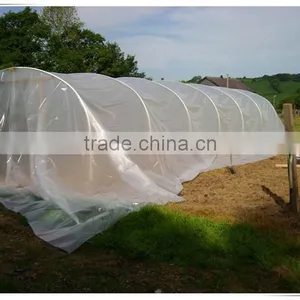 Anti-aging Plastic Film, Cheap Price High Quality Greenhouse Film thumbnail-1